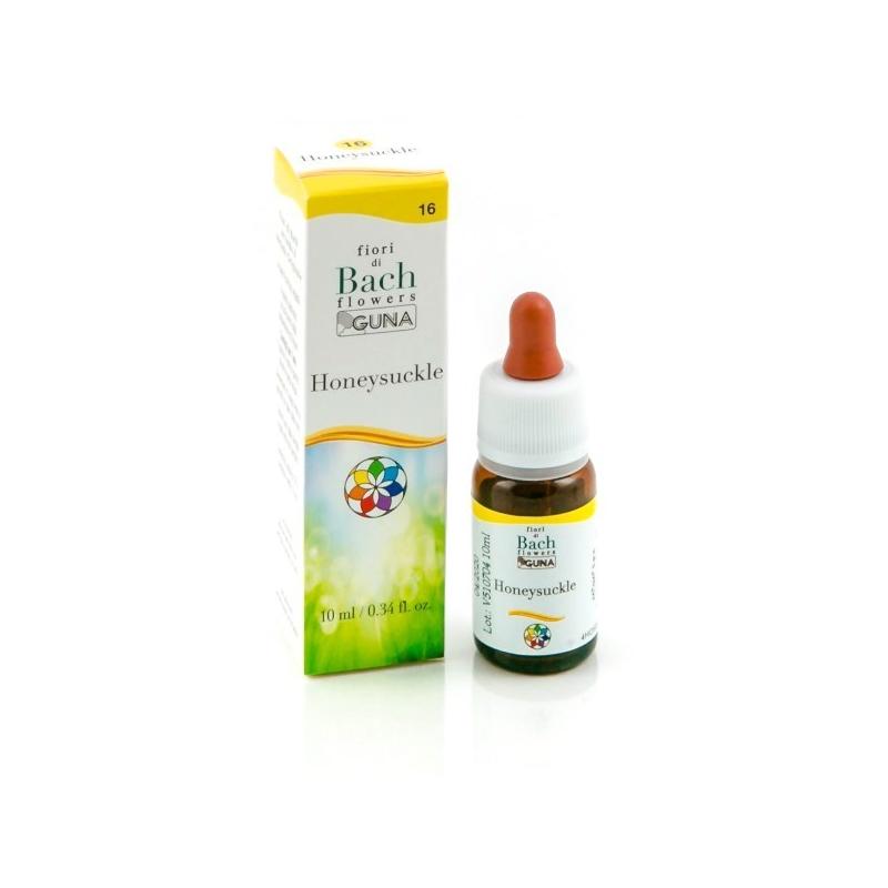 Guna Honeysuckle 10 ml Fiori Bach Memoria