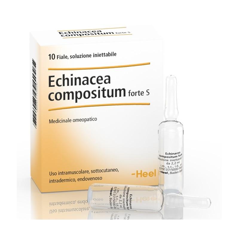 Guna Heel Echinacea Compositum S Forte 10 Fiale