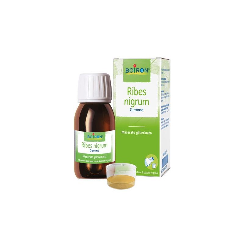 Ribes Nigrum Macerato Glicerico 60 Ml Int