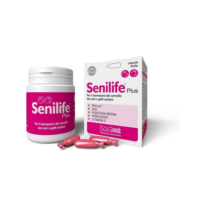 Senilife Plus 30 Capsule