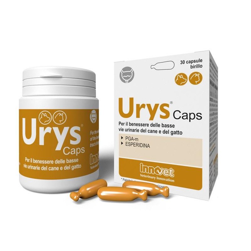 Urys Caps 30 Capsule