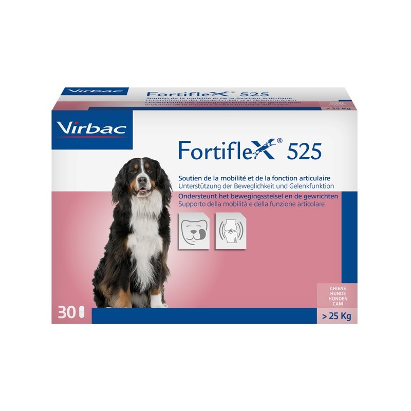 Fortiflex 525 Mg 30 Compresse Appetibili