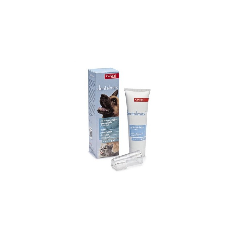 Dentalmax Gel Stomatologico 50 Ml