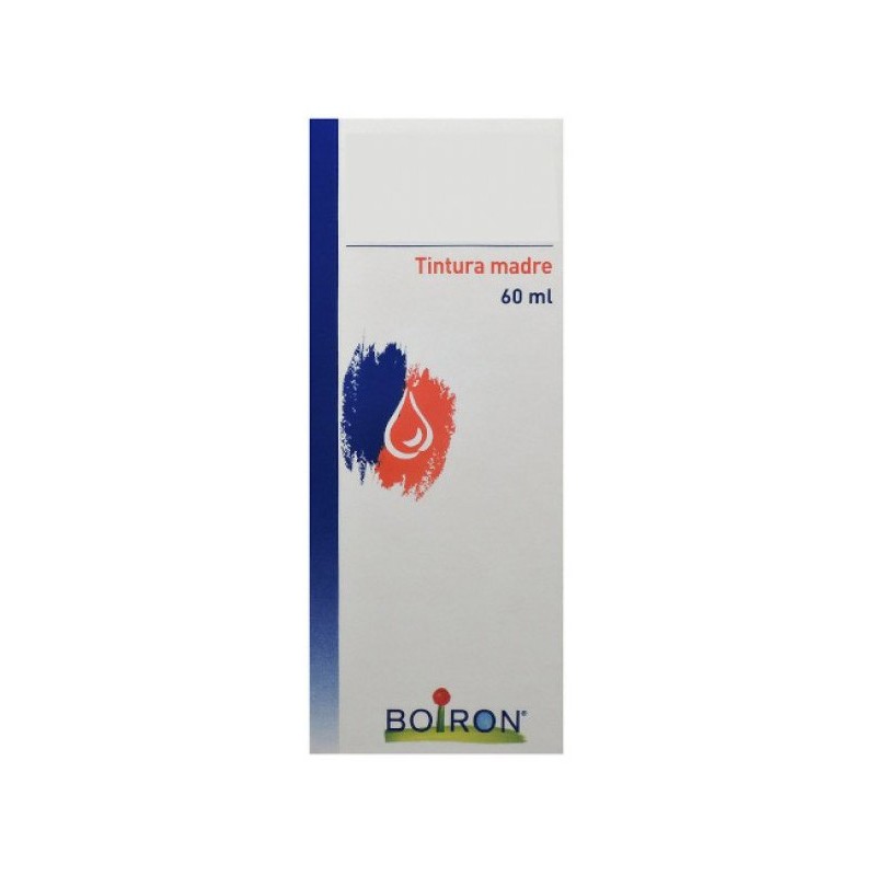 Thuya Occidentalis Tintura Madre 60 Ml