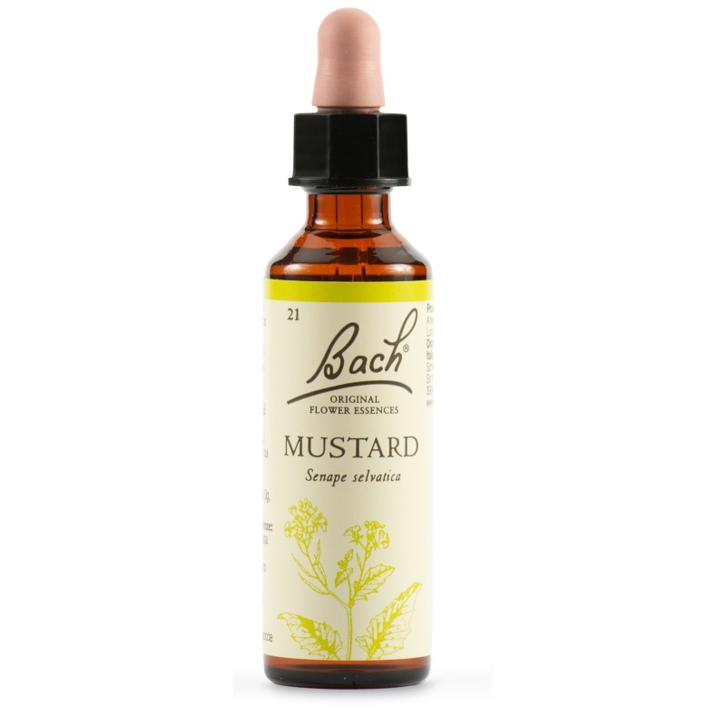 Mustard Bach Orig 20 Ml