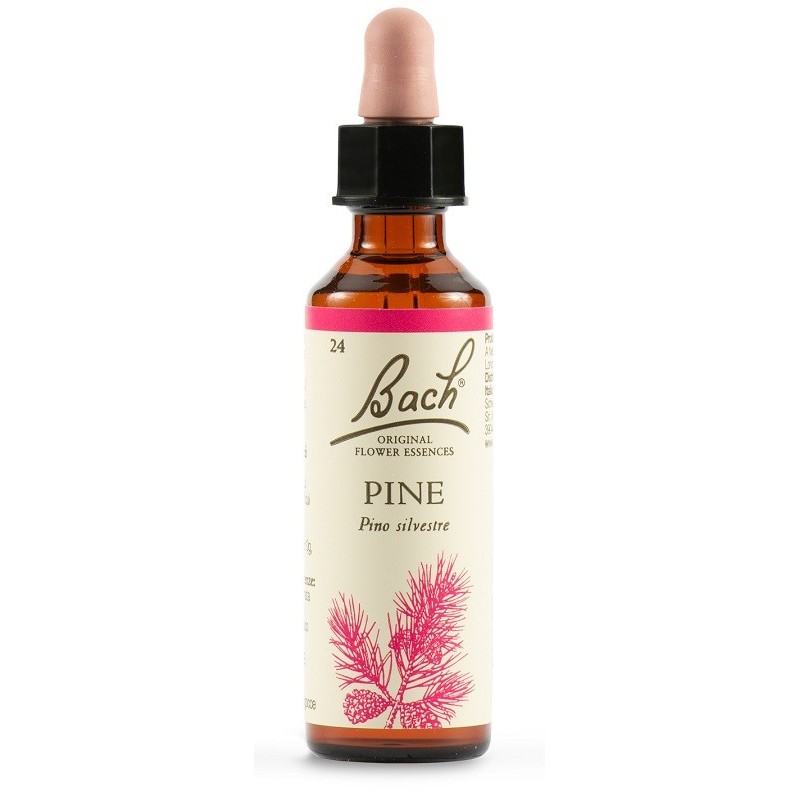 Pine Bach Orig 20 Ml