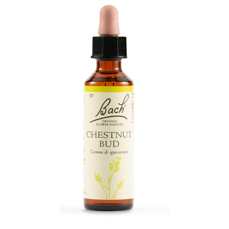 Chestnut Bud Bach Orig 20 Ml