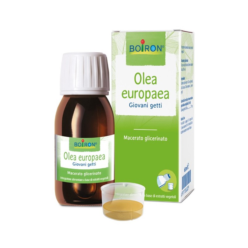 Olea Europaea Macerato Glicerico 60 Ml Int