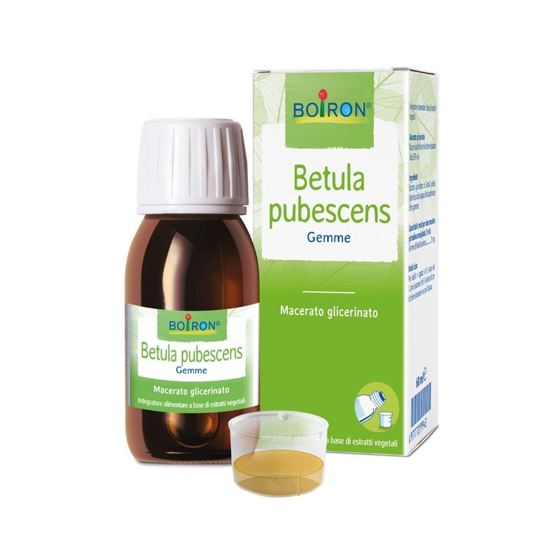 Betula Pubescens Macerato Glicerico 60 Ml Int