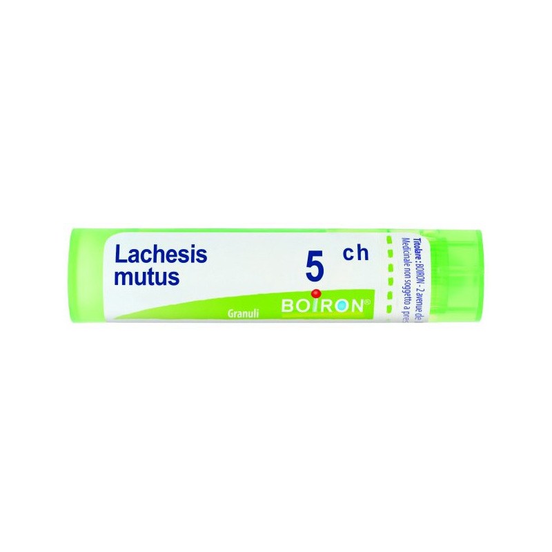 Lachesis Mutus 5ch Gr