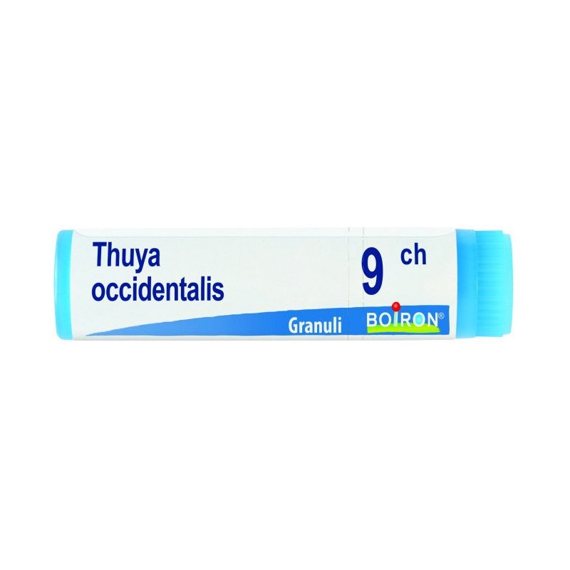 Thuya Occident 9ch Gl